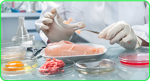 Biologie de la femme enceinte chez SCIENTILABO