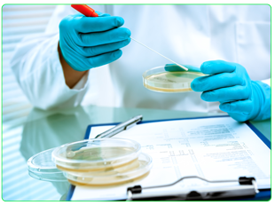 Biologie de la femme enceinte chez SCIENTILABO